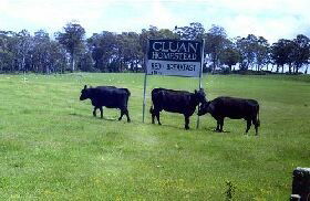 Cluan Homestead - Accommodation NT 0