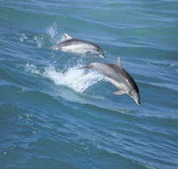 Seachange - Accommodation NT