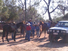 Evening Star Tourist Park - Accommodation NT 0