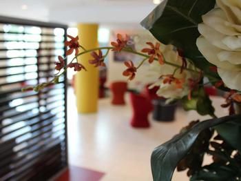 Ibis Newcastle - Accommodation NT 24
