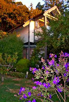Annie Roe's Luxury Bed & Breakfast - Accommodation NT 4