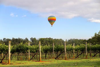 Carriages Boutique Hotel - Accommodation NT 26