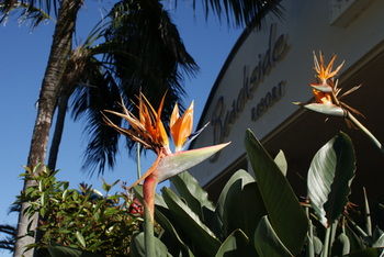 Beachside Resort - Kawana Waters - Accommodation NT 4