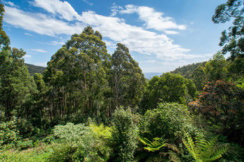 A Camelot Tower & Penthouse - NT Tourism 46