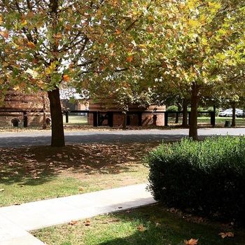 Potters Hotel Brewery Resort - Accommodation NT 20