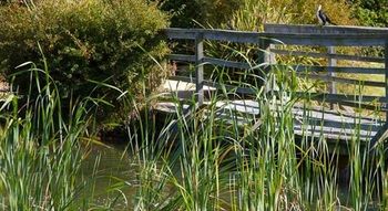 Potters Hotel Brewery Resort - Accommodation NT 42