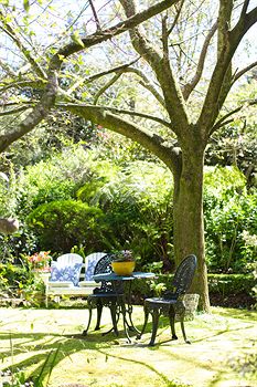 Adeline Bed And Breakfast - Accommodation NT 7