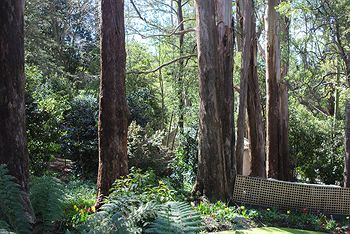 Adeline Bed And Breakfast - Accommodation NT 8