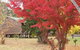 Madison's Mountain Retreat - thumb 1