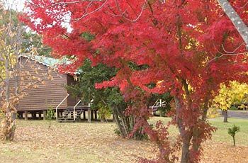 Madison's Mountain Retreat - Accommodation NT 1