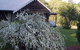 Madison's Mountain Retreat - thumb 3