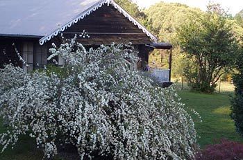 Madison's Mountain Retreat - Accommodation NT 3
