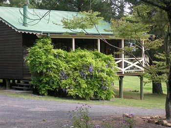 Madison's Mountain Retreat - Accommodation NT 4
