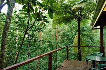 Kondalilla Eco Resort - Accommodation NT 2