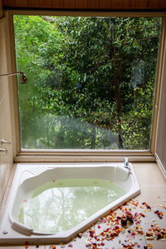 Kondalilla Eco Resort - Accommodation NT 17