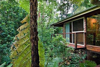 Kondalilla Eco Resort - Accommodation NT 23