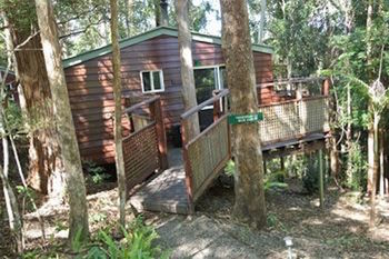 Kondalilla Eco Resort - Accommodation NT 27