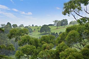 Kondalilla Eco Resort - Accommodation NT 28