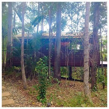 Kondalilla Eco Resort - Accommodation NT 32