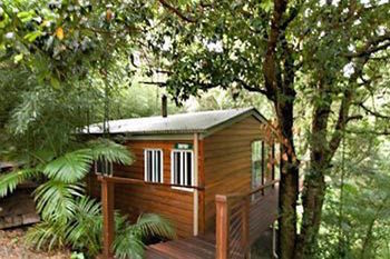 Kondalilla Eco Resort - Accommodation NT 35