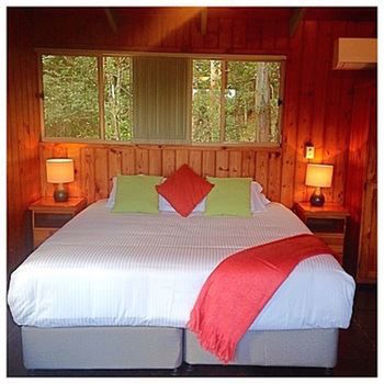 Kondalilla Eco Resort - Accommodation NT 42