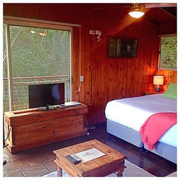 Kondalilla Eco Resort - Accommodation NT 50