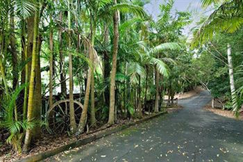 Kondalilla Eco Resort - Accommodation NT 94