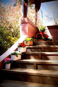 Hotel Avonleigh - Accommodation NT 13