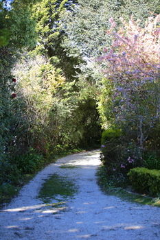 Hotel Avonleigh - Accommodation NT 15