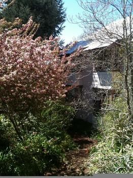 Hotel Avonleigh - Accommodation NT 45