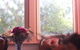 Hotel Avonleigh - thumb 46