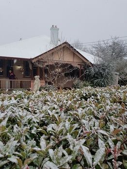 Hotel Avonleigh - Accommodation NT 53