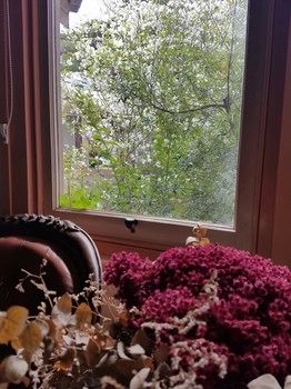 Hotel Avonleigh - Accommodation NT 64
