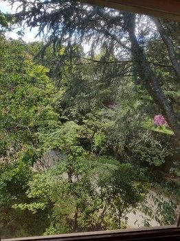Hotel Avonleigh - Accommodation NT 70
