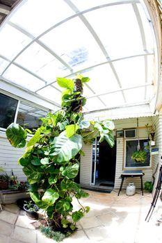 Manly Oceanside - NT Tourism 0