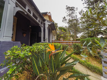 Manly Oceanside - NT Tourism 81