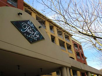 Waldorf Randwick Serviced Apartments - Accommodation NT 5