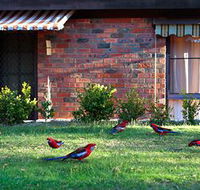 Crimson Villa - Accommodation NT