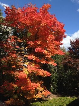 Valley Of The Waters B&B - Accommodation NT 5