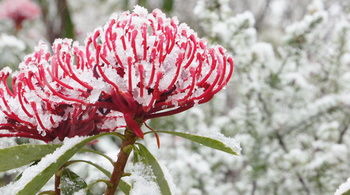 Valley Of The Waters B&B - Accommodation NT 12