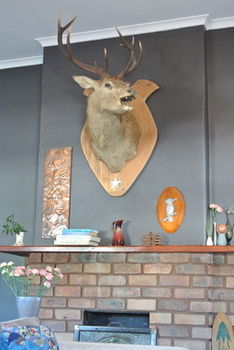 Vine Valley Inn - Accommodation NT 49