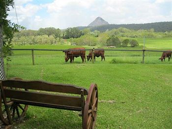Blackwattle Farm B&B And Farm Stay - Accommodation NT 1