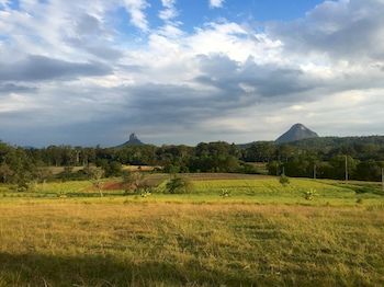 Blackwattle Farm B&B And Farm Stay - Accommodation NT 3