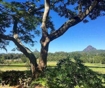 Blackwattle Farm B&B And Farm Stay - Accommodation NT 9