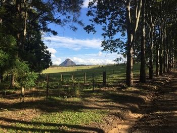 Blackwattle Farm B&B And Farm Stay - Accommodation NT 12