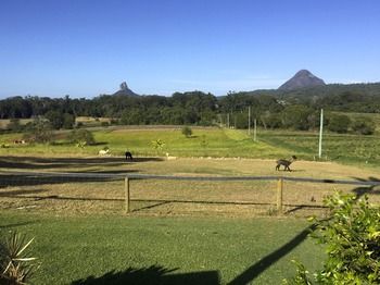 Blackwattle Farm B&B And Farm Stay - Accommodation NT 29