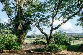 Blackwattle Farm B&B And Farm Stay - Accommodation NT 45