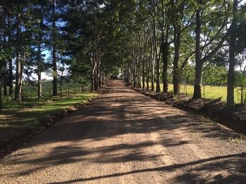 Blackwattle Farm B&B And Farm Stay - Accommodation NT 46