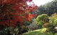 Brentwood Accommodation - thumb 43