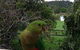 Australian Home Away @ Wonga Park Brushy Creek - thumb 2